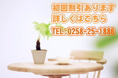 初回割引あります-安達カイロプラクティック-新潟県長岡市